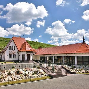 ホテル Chizay. Мала Гора ベレホヴェ Exterior photo